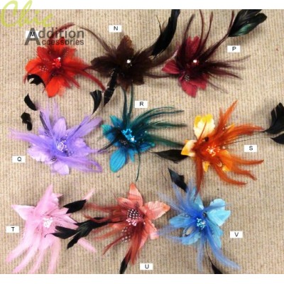 Feather Clips 03333